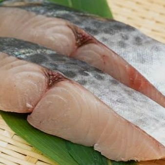 魚精神